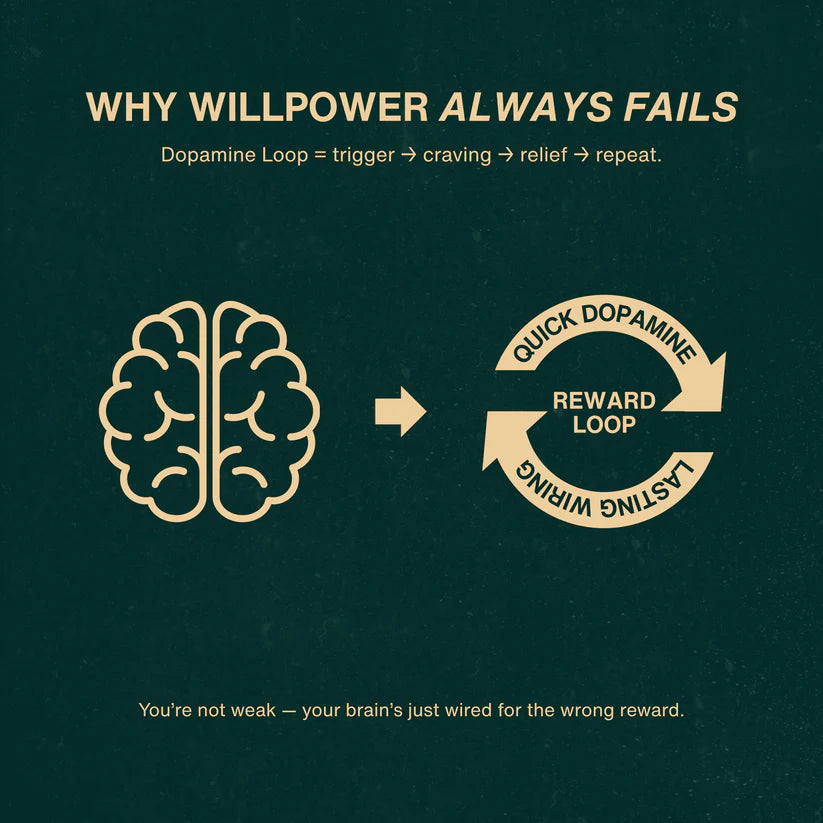 The Effortless Escape Ebook